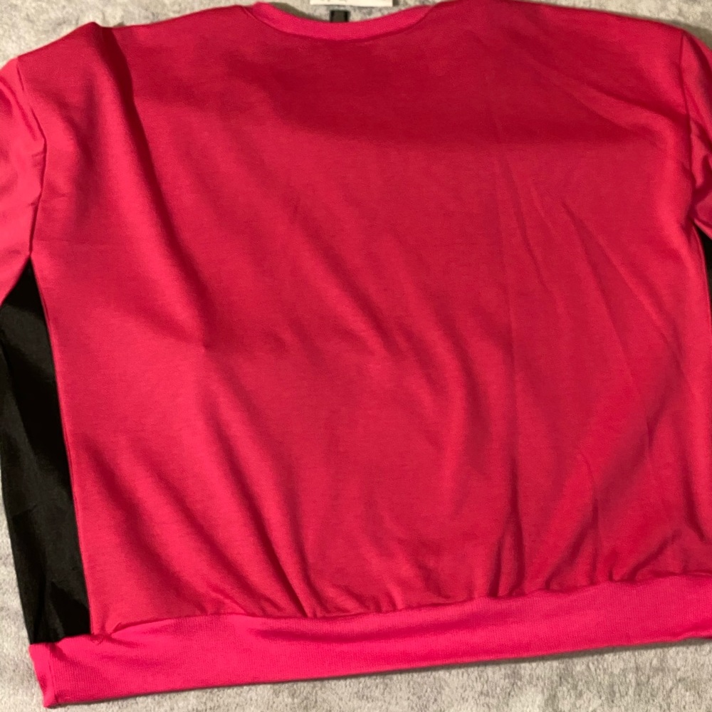 AE Studio Color Block Sweatshirt - Picture 4 of 5